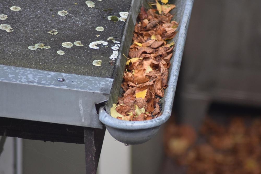 Are Gutter Guards Worth It?