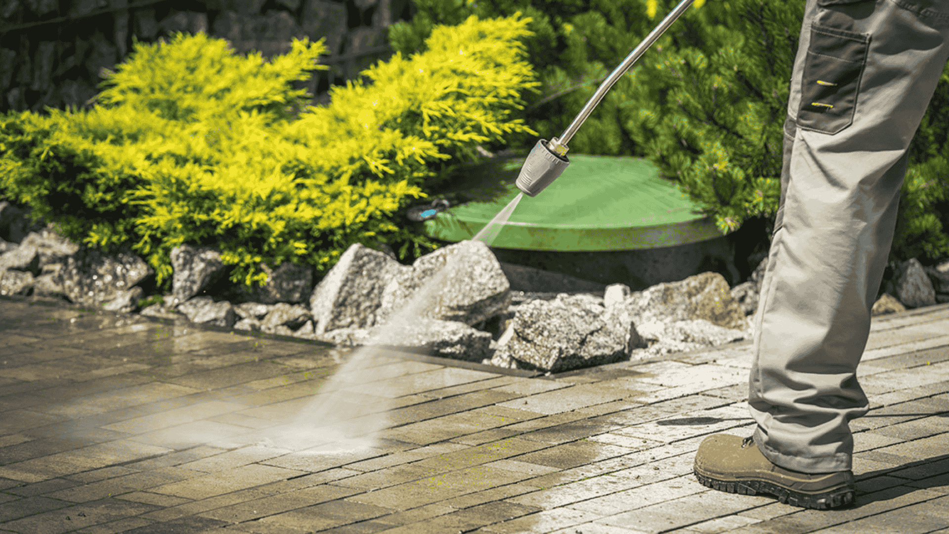 How Soft Washing Protects Your Plants (While Pressure Washing Kills Them)